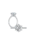 Maya Round Solitaire Pave Ring (6 Prong) Both - Eclat by Oui